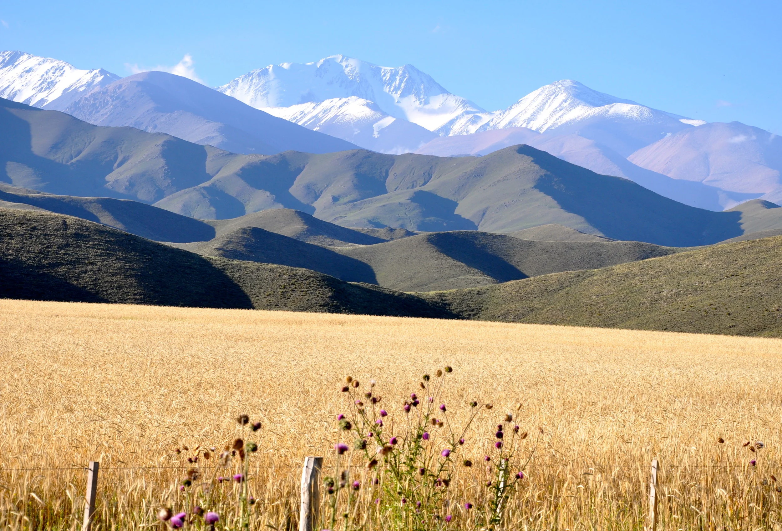 Paisaje Tupg3.JPG
