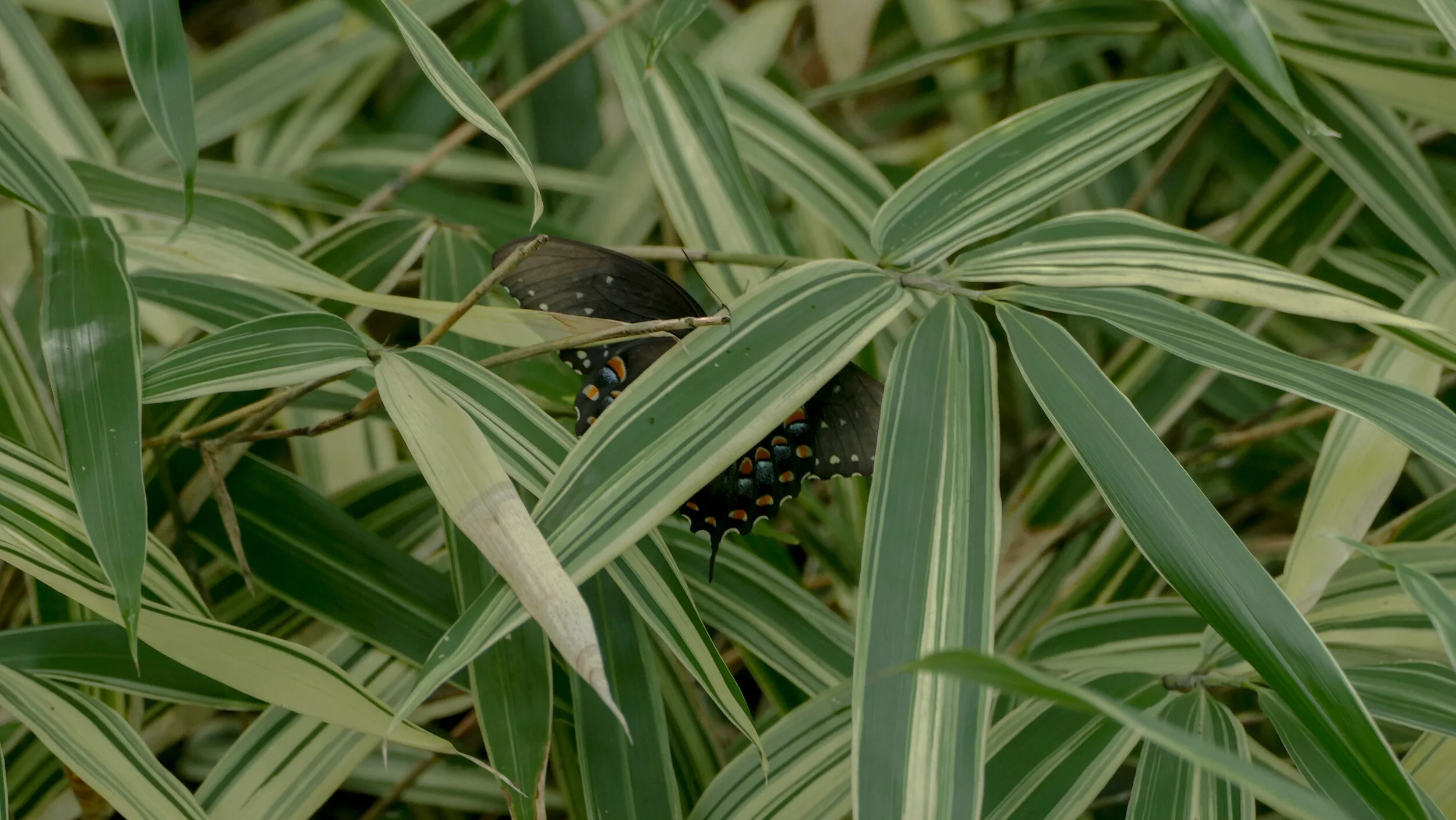 Booth Property 02.JPG