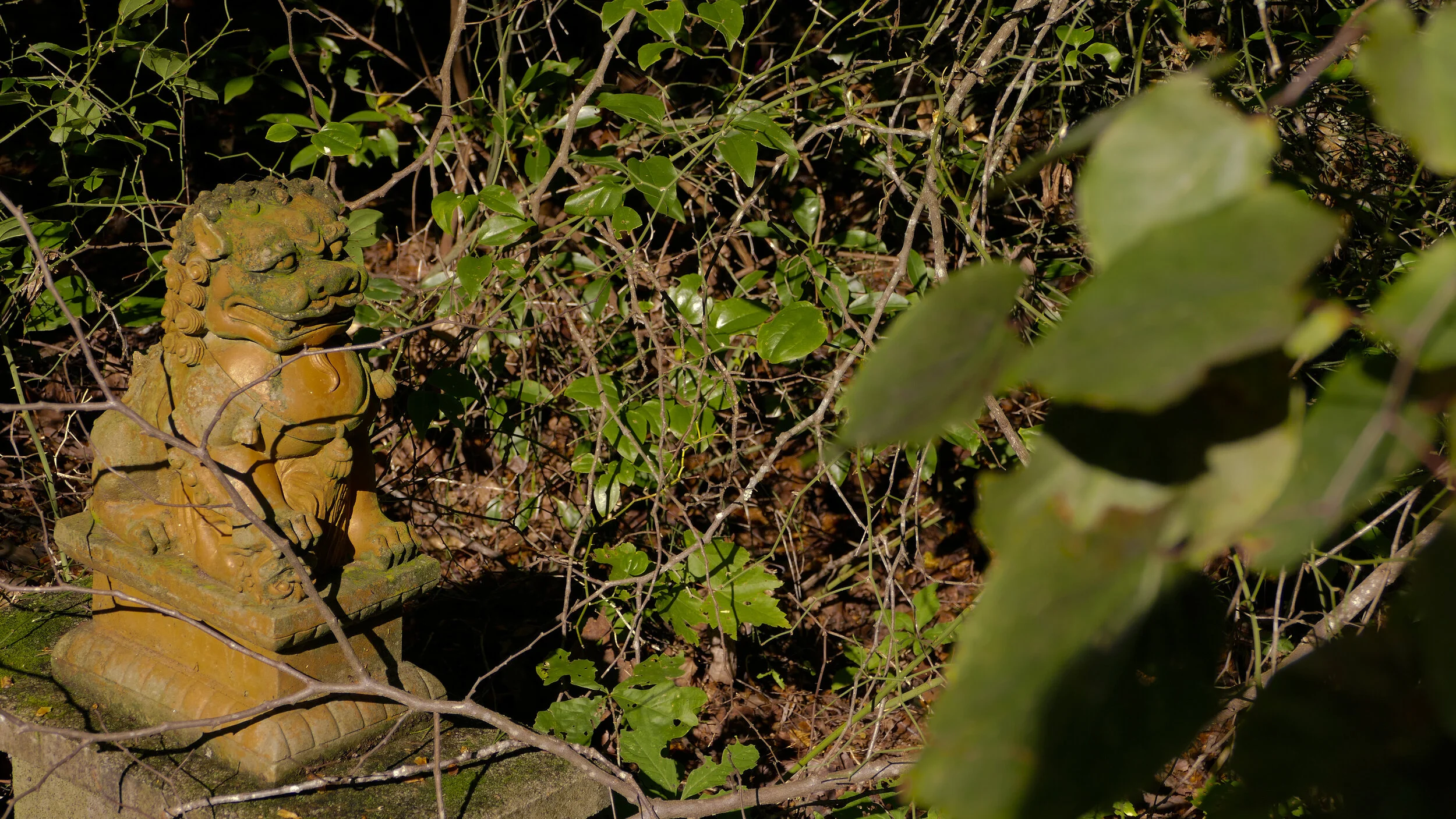 Booth Property 04.JPG