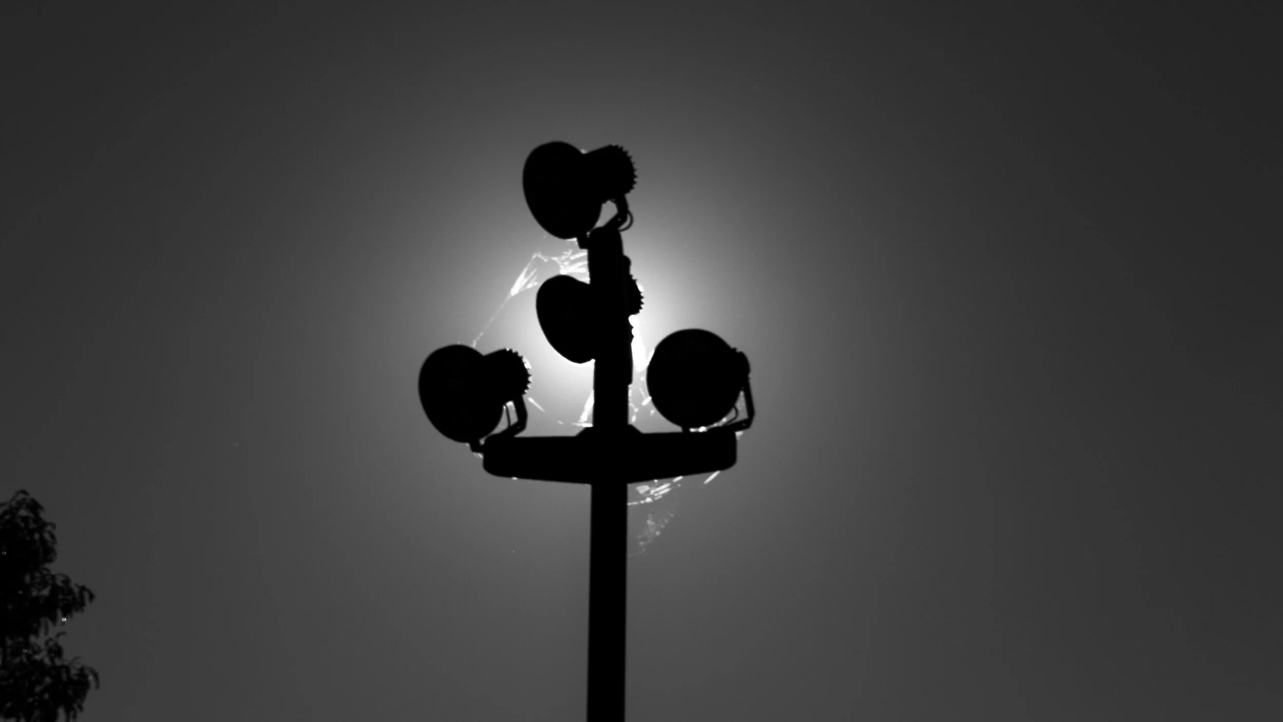 Light Pole 01.JPG