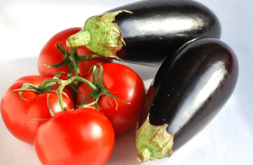Eggplant and Tomatoes.jpg
