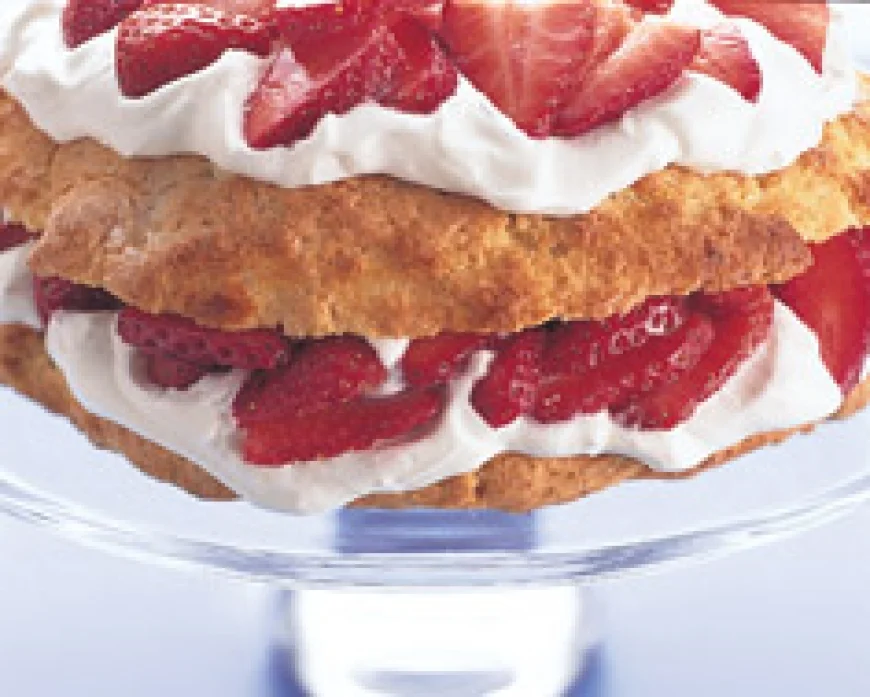 New Wave Shortcake.jpg