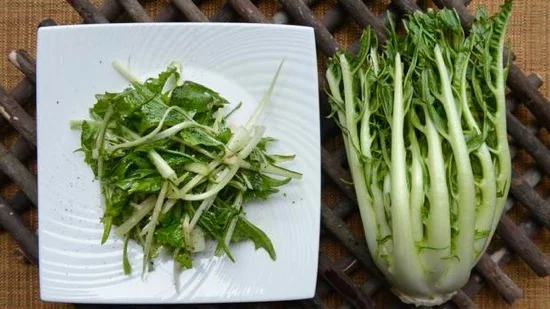 Puntarella salad