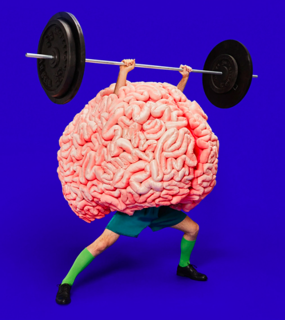 MeetUp Campaign Selects