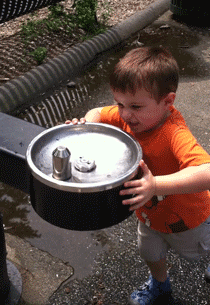giphy (1).gif