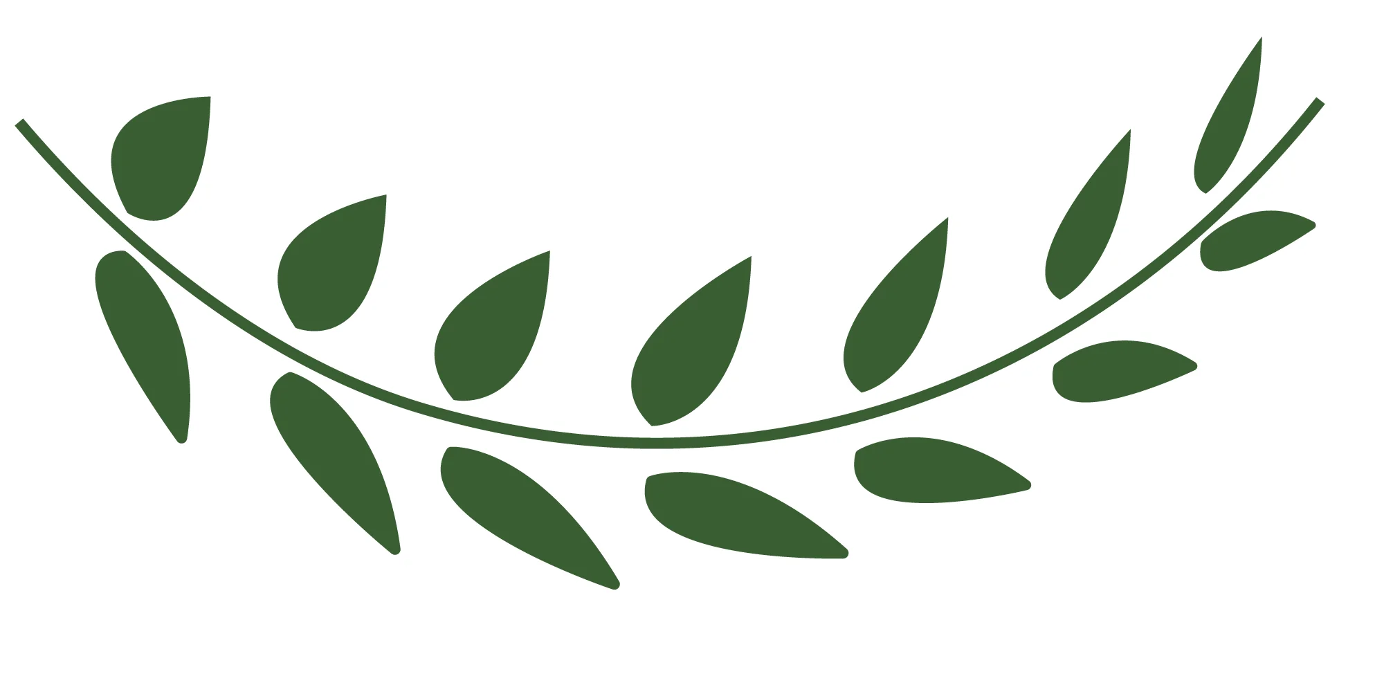 laurel_motif.jpg