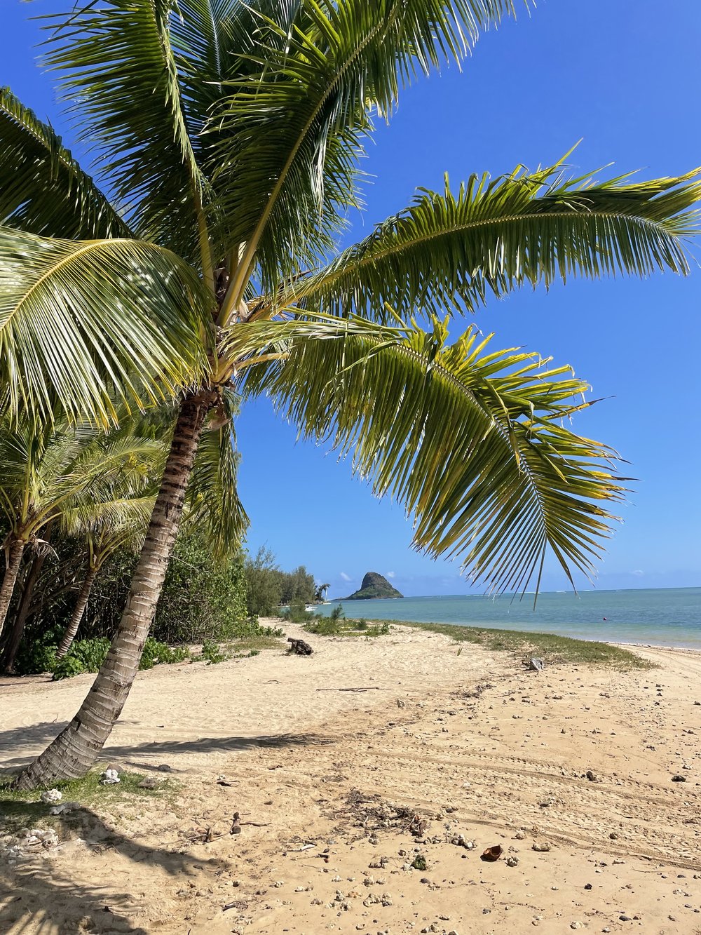 KANEOHE BAY