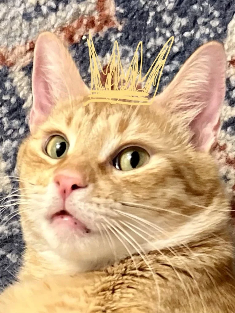 Close portrait of Toney with a drawn crown