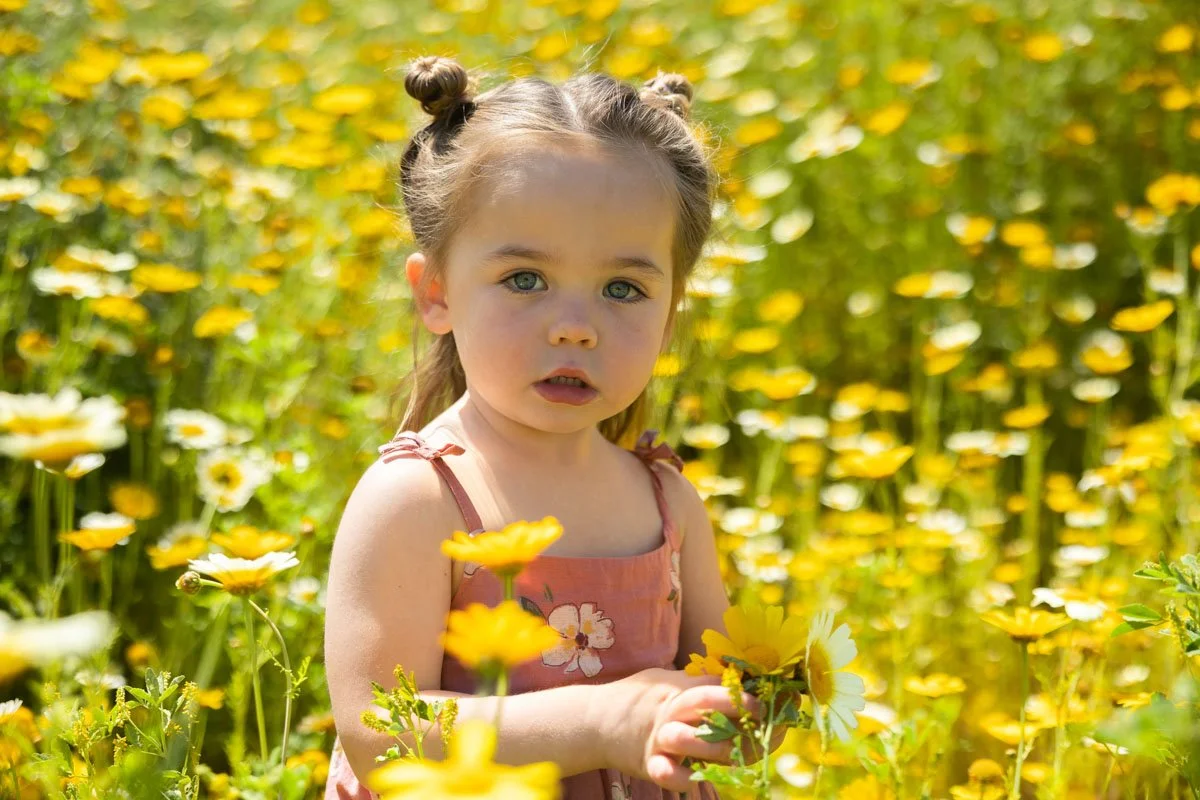 018_Indigo_2.5  Year.jpg