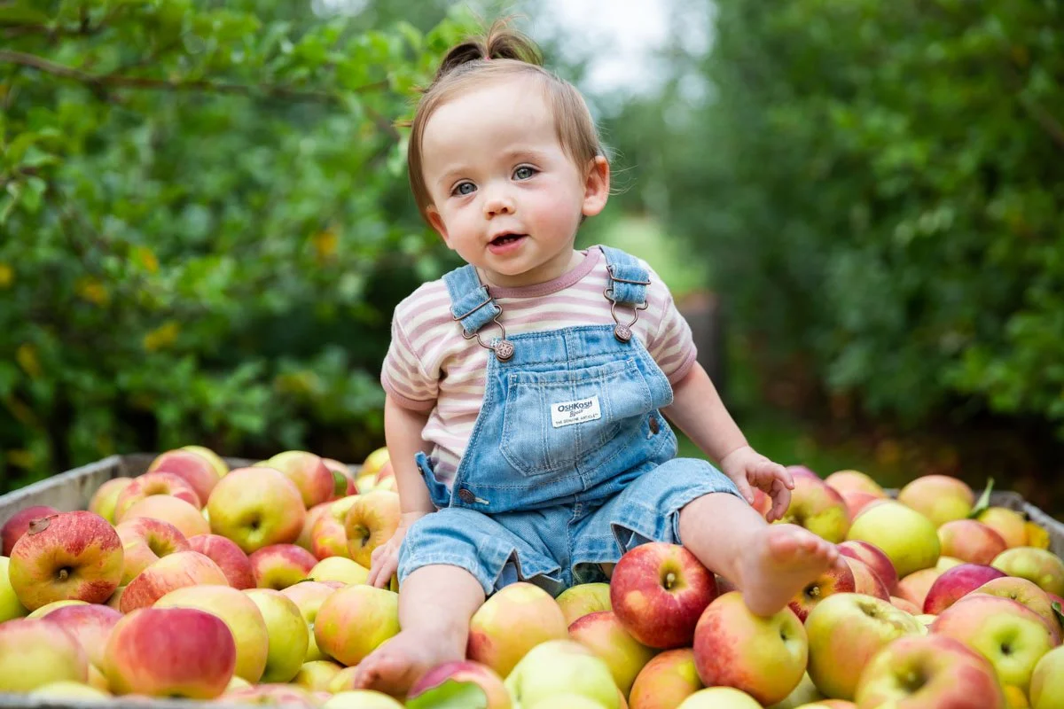 030Indigo_11 Months.jpg