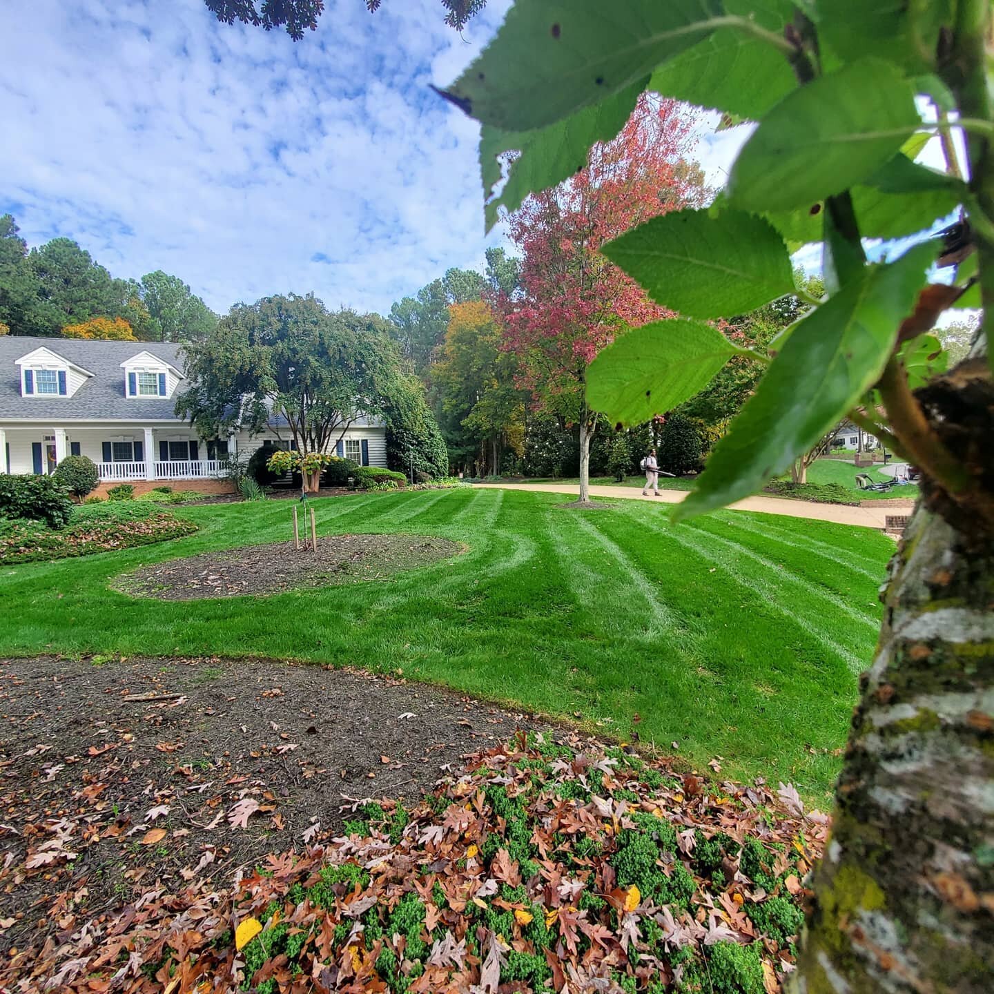 The leaves🍂🍃 are falling and mowing season is coming to a close. So we wanted to drop some of our most recent striping sessions. Happy fall y'all!! 🍂🍁🎃👻🦃

-

#mowing #stripes #toro #lawncare #landscaping #Firststring