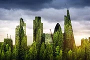green-skyline_crop180x120.jpg