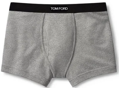 TF Grey Boxer.jpeg