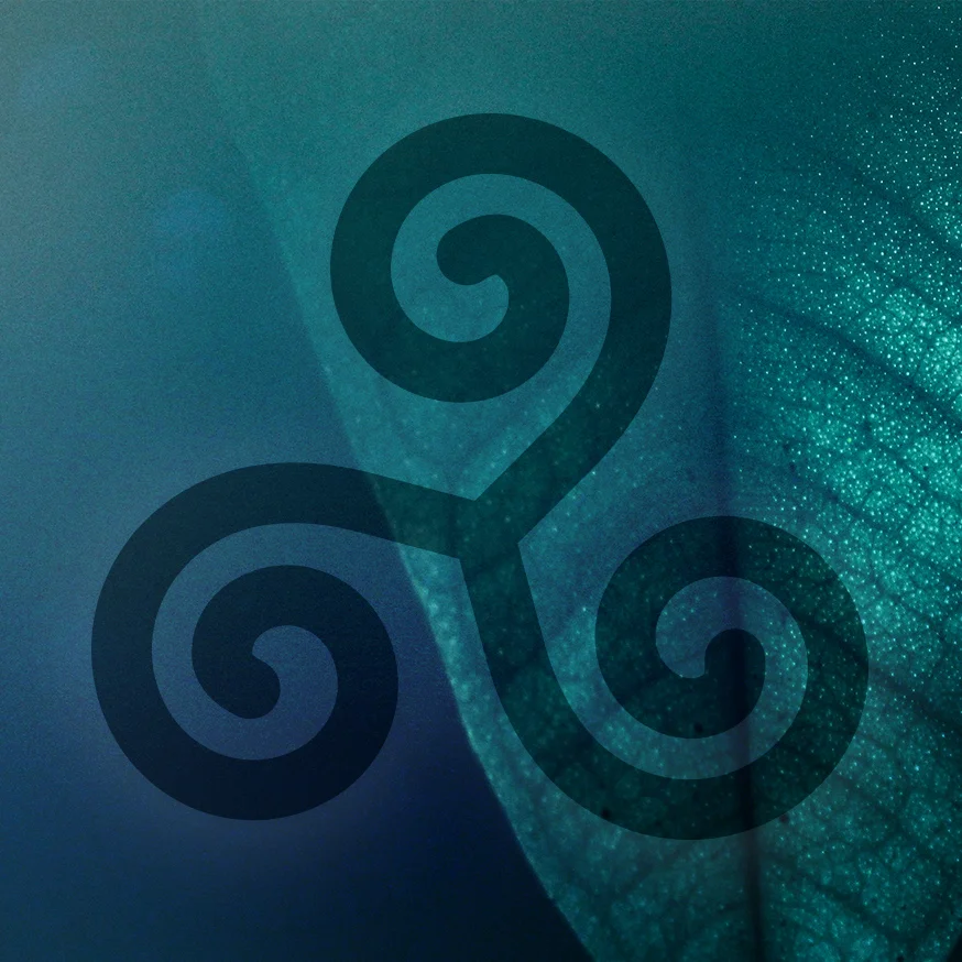 8 session process (weekly)