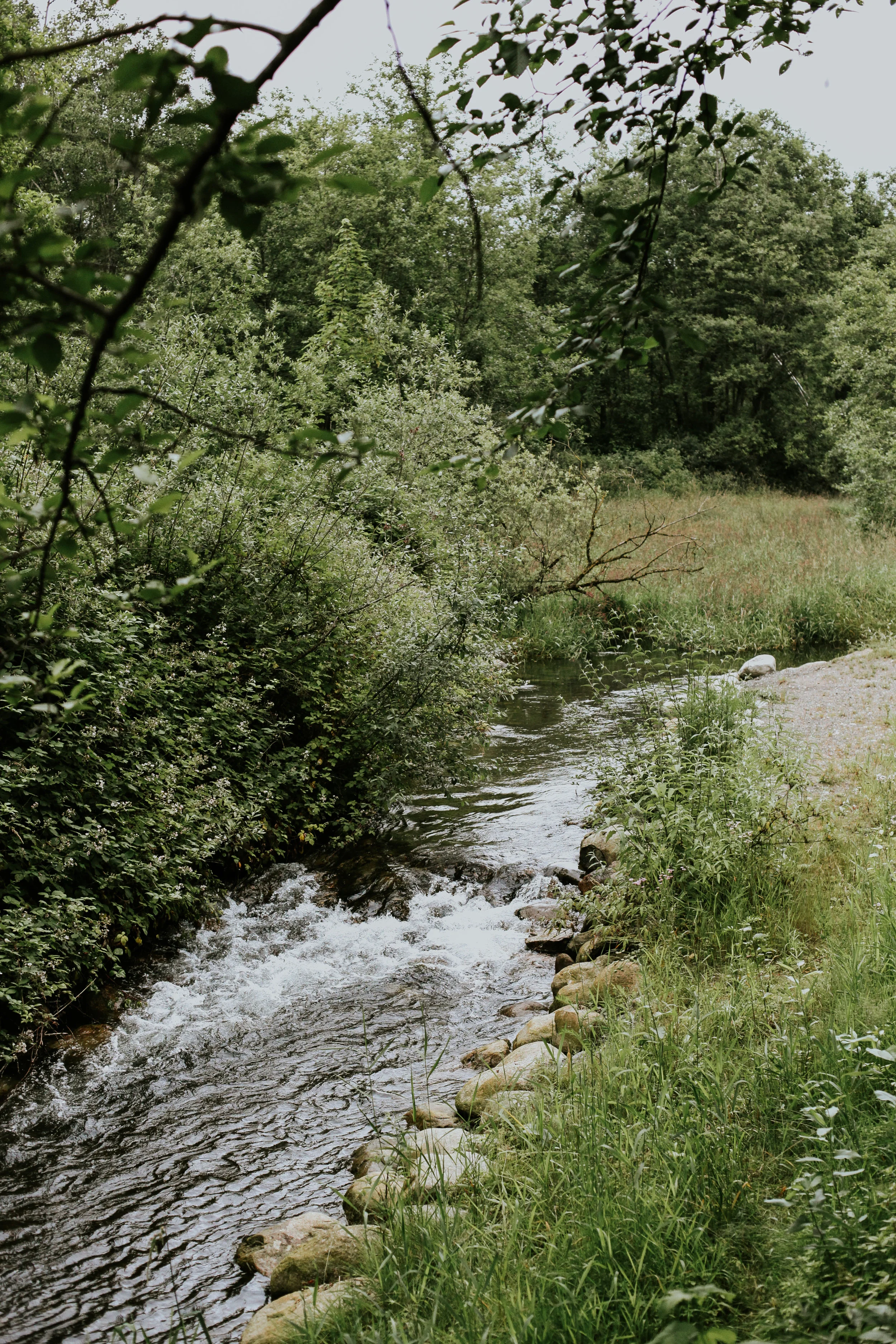 fvt-sprucecollective-tp-19.jpg