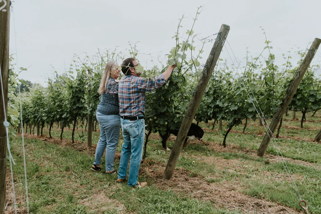 FVT-SINGLETREE-WINERY-12.jpg