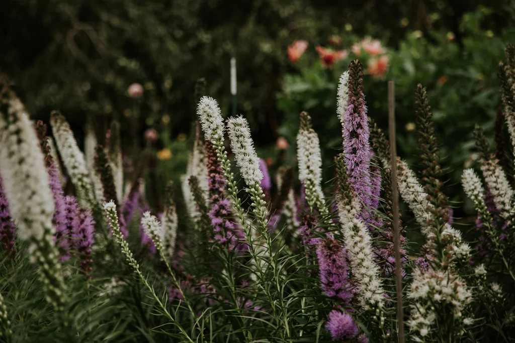 FVT-SIMPLY-PERFECT-FLOWERS-20.jpg