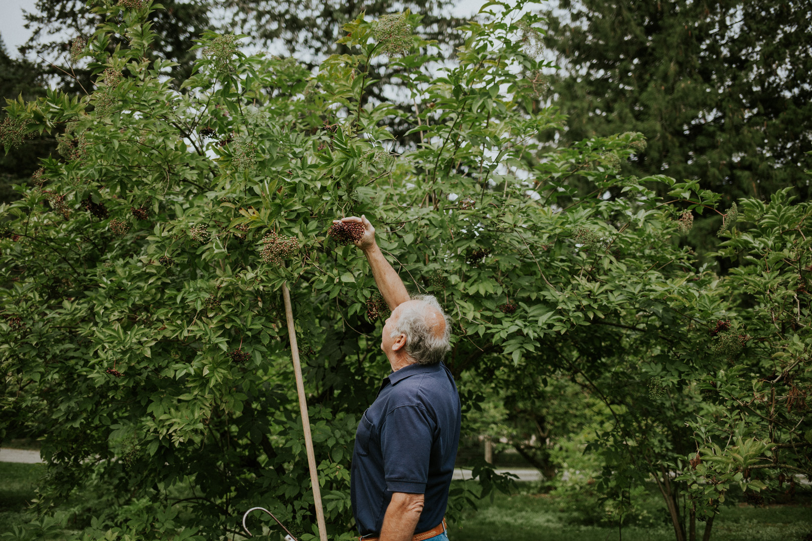 TFV_ElderberryFarm_Select (43 of 83).jpg