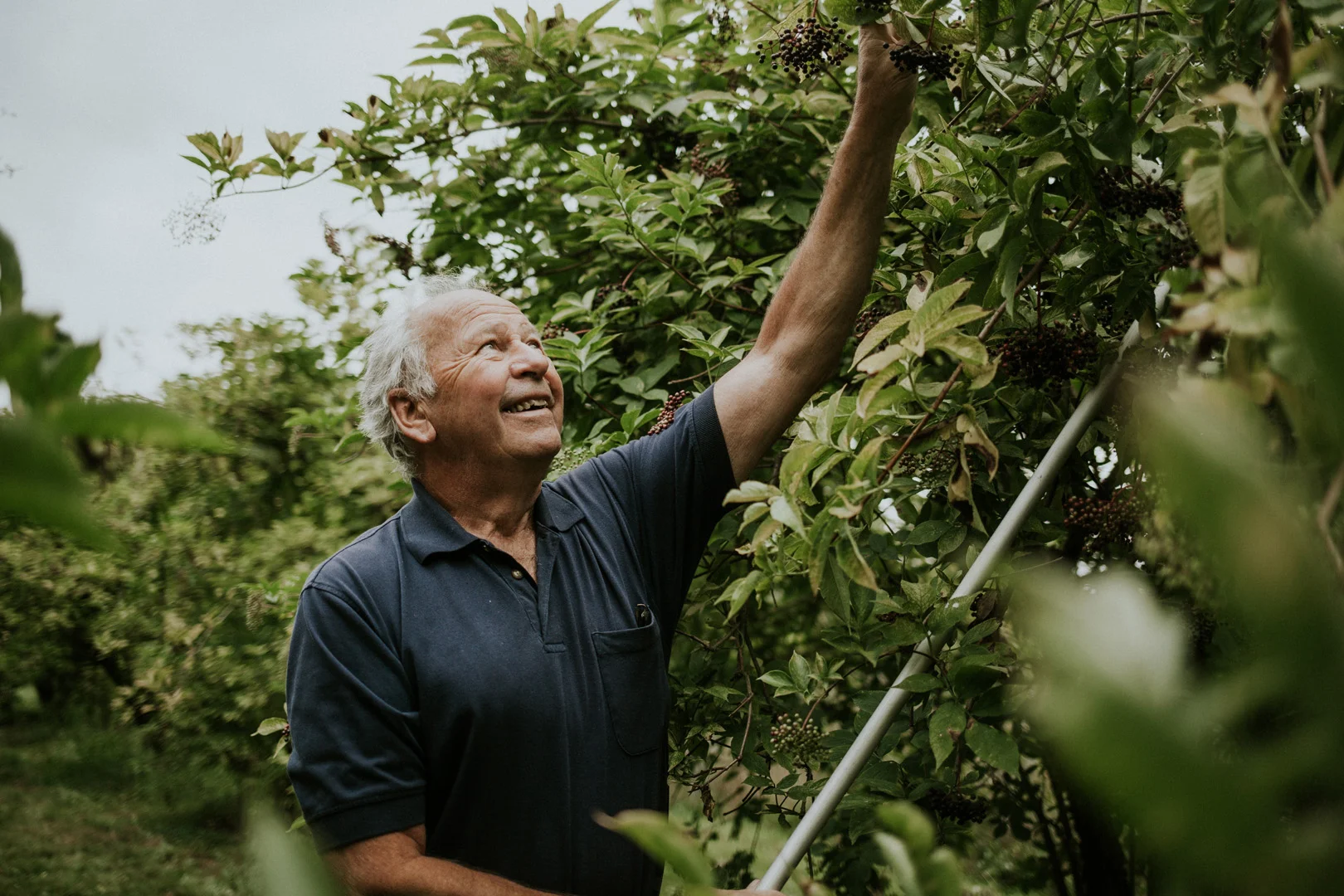 Exploring the Yarrow Elderberry Farm Fraser Valley