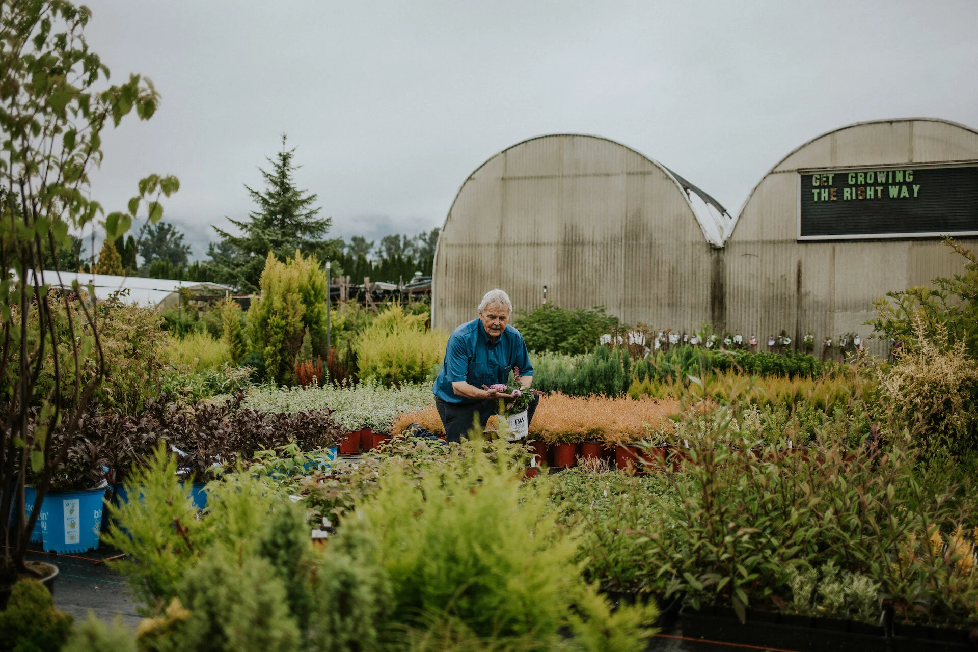 The Grandeur of Minter Country Garden The Fraser Valley