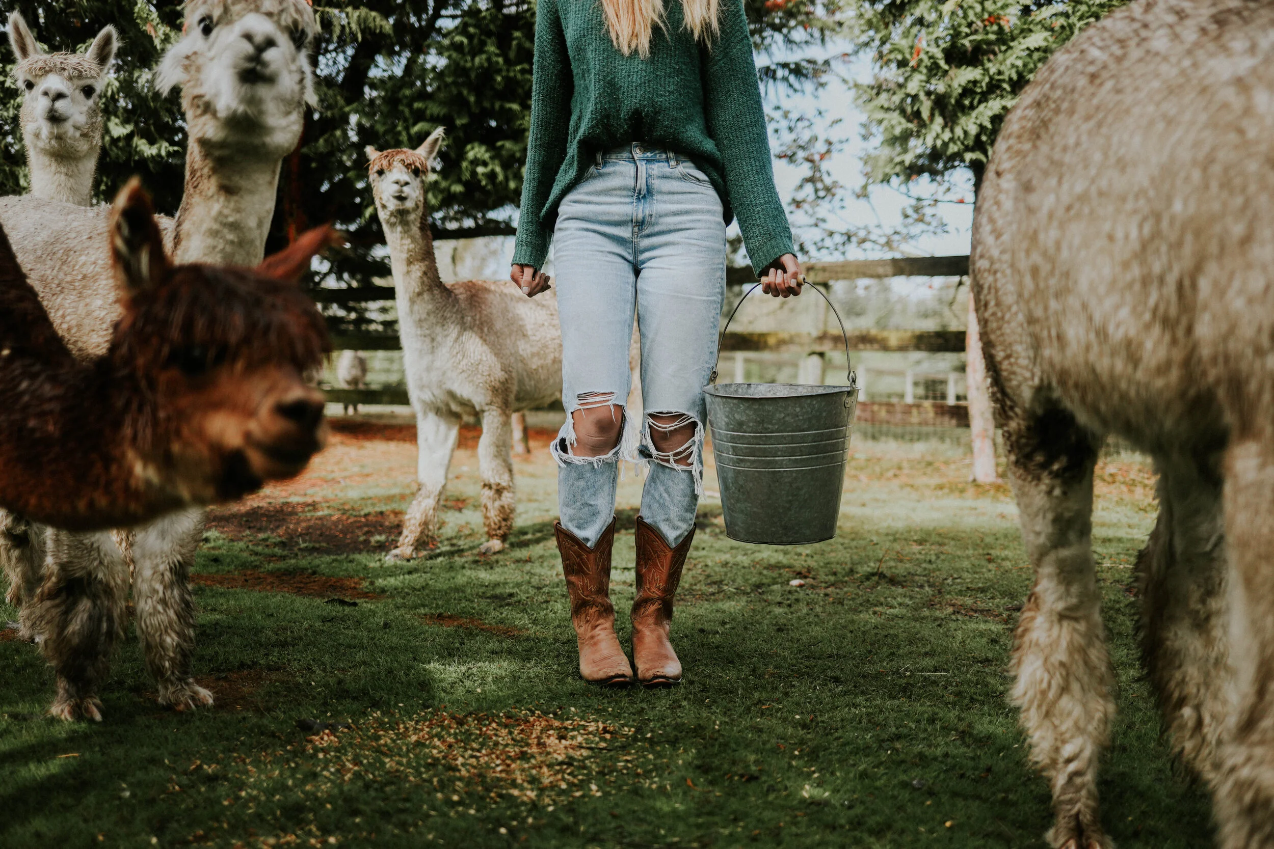 Explore the Fraser Valley Circle Farm Tour - The Fraser Valley