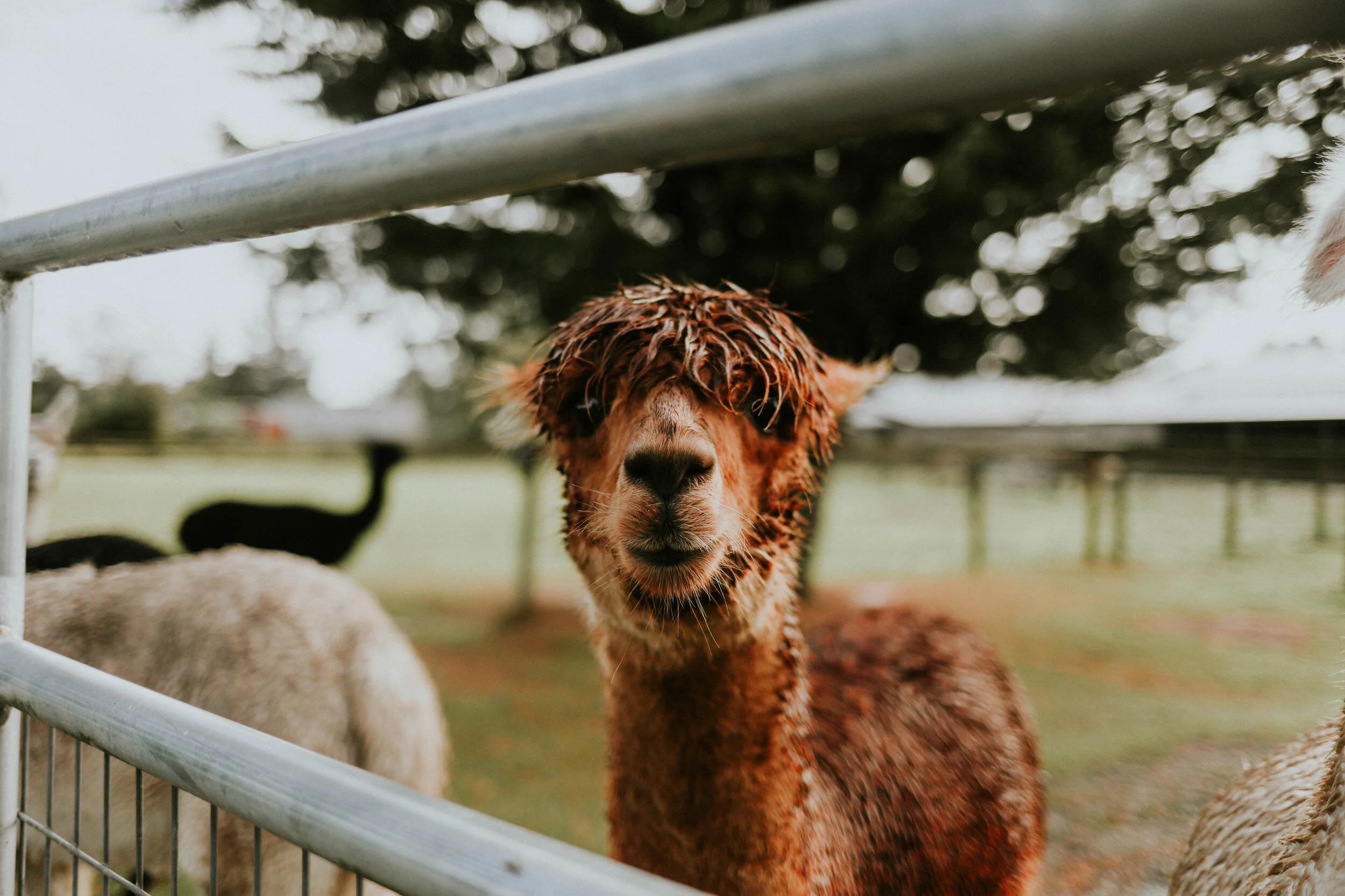 Must-Visit Farm Experiences and Garden Shops in the Fraser Valley - The ...