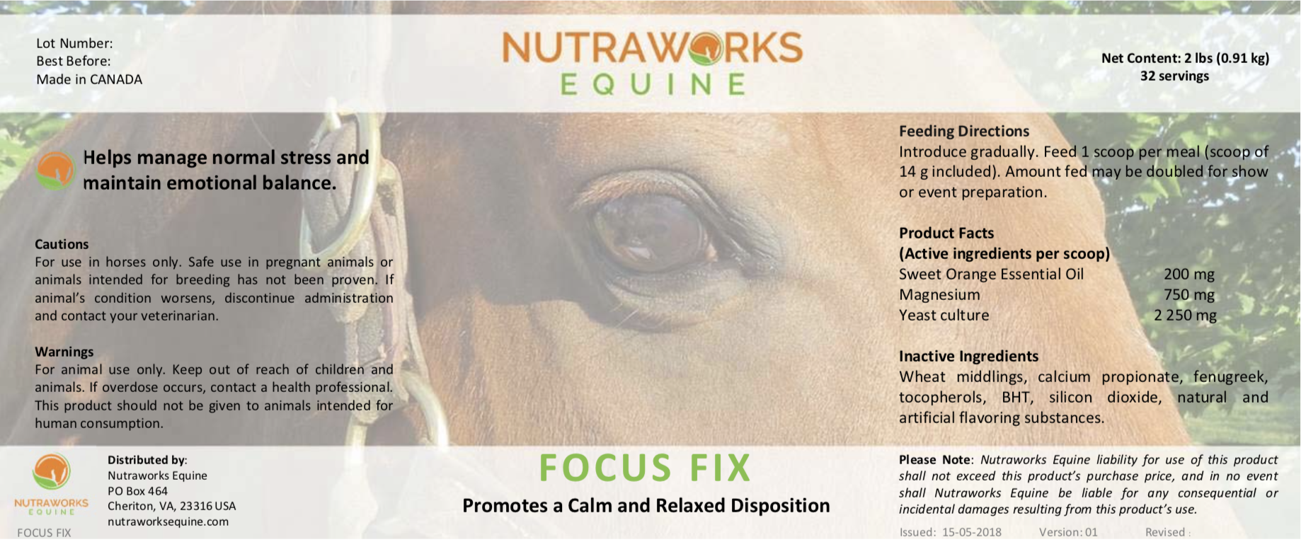 FOCUS FIX.png
