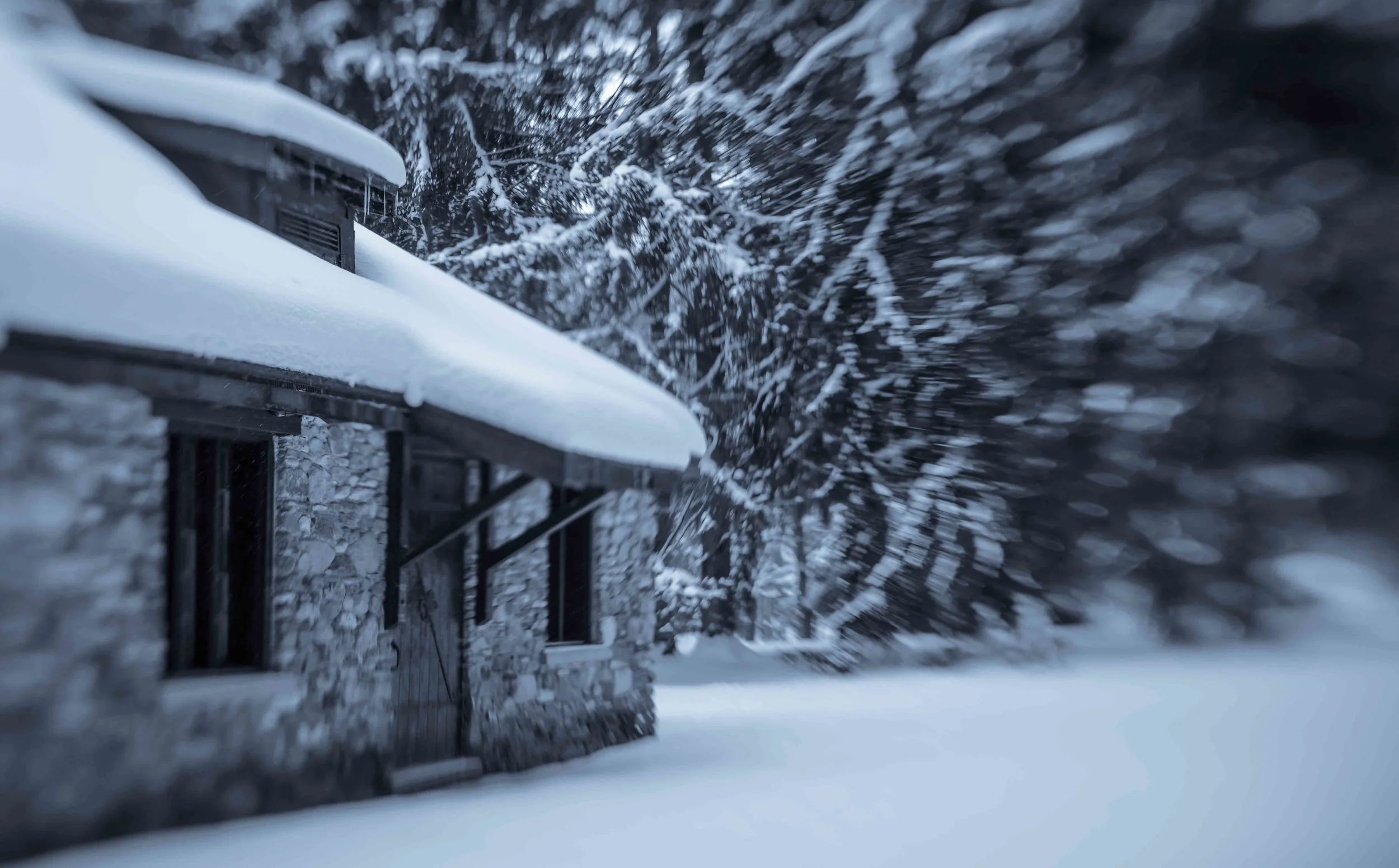 1Q7A4334.jpg