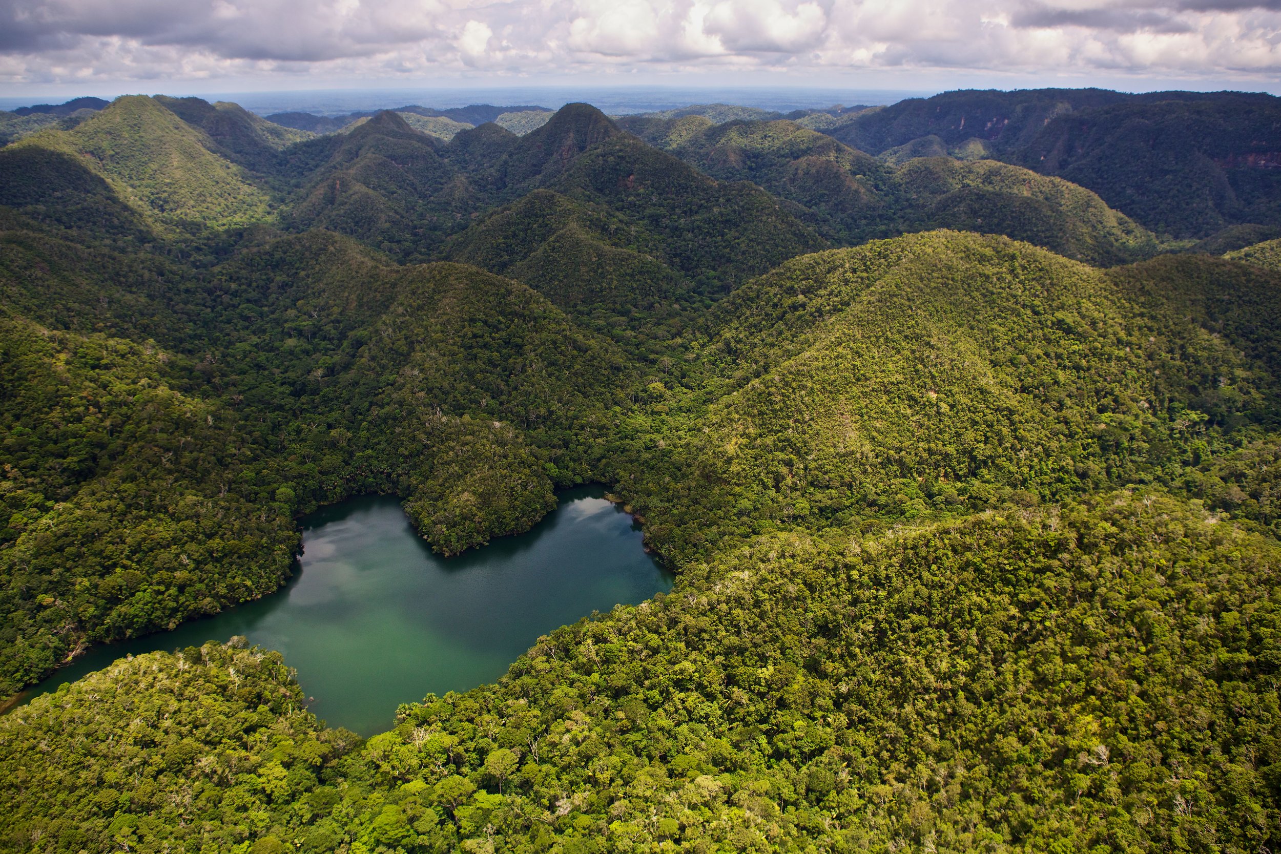 The Amazion Rainforest; Photo Credit: CEDIA