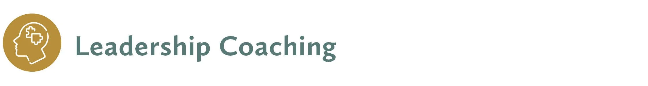 leadership coaching