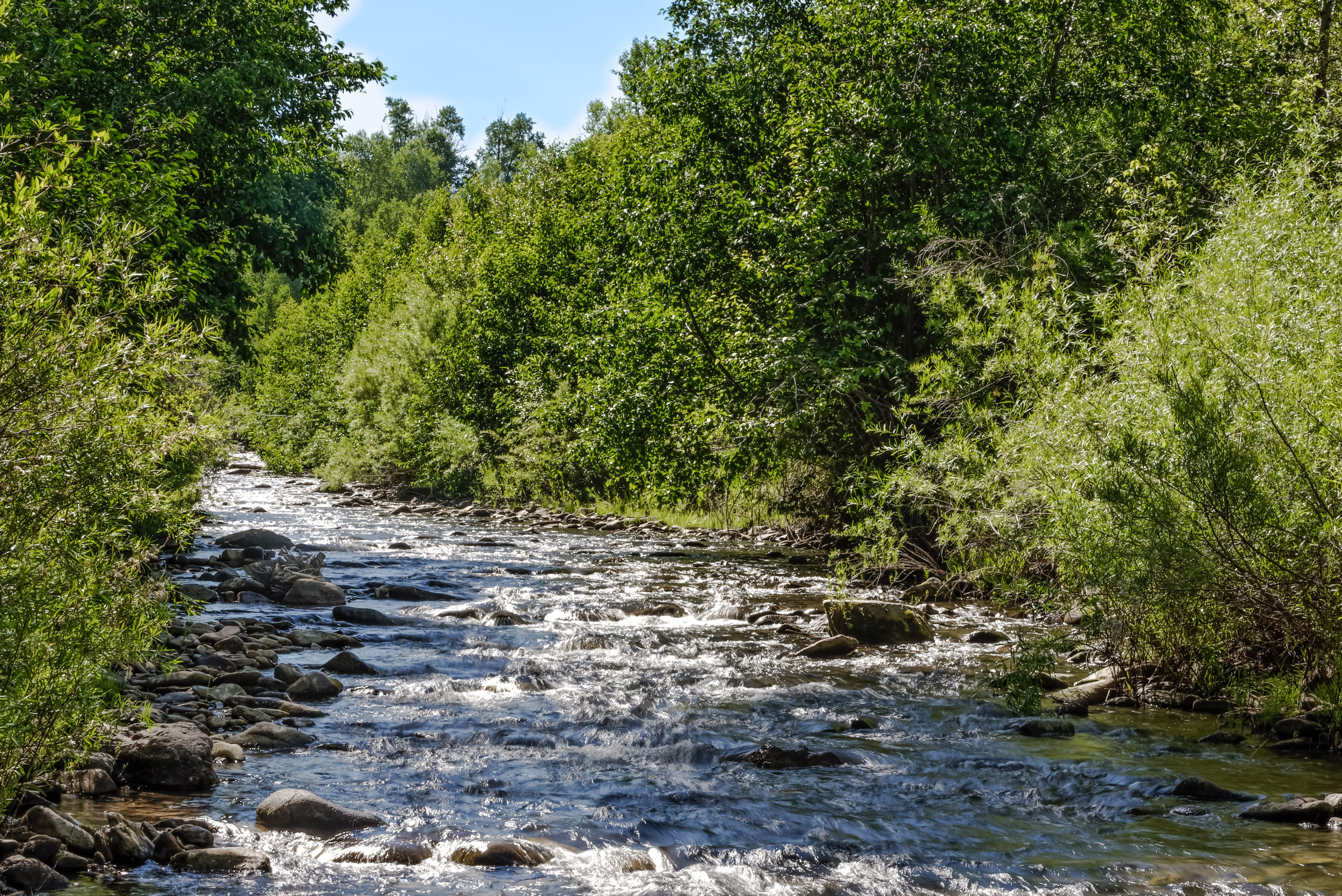 Smith Fork of the Gunnison River