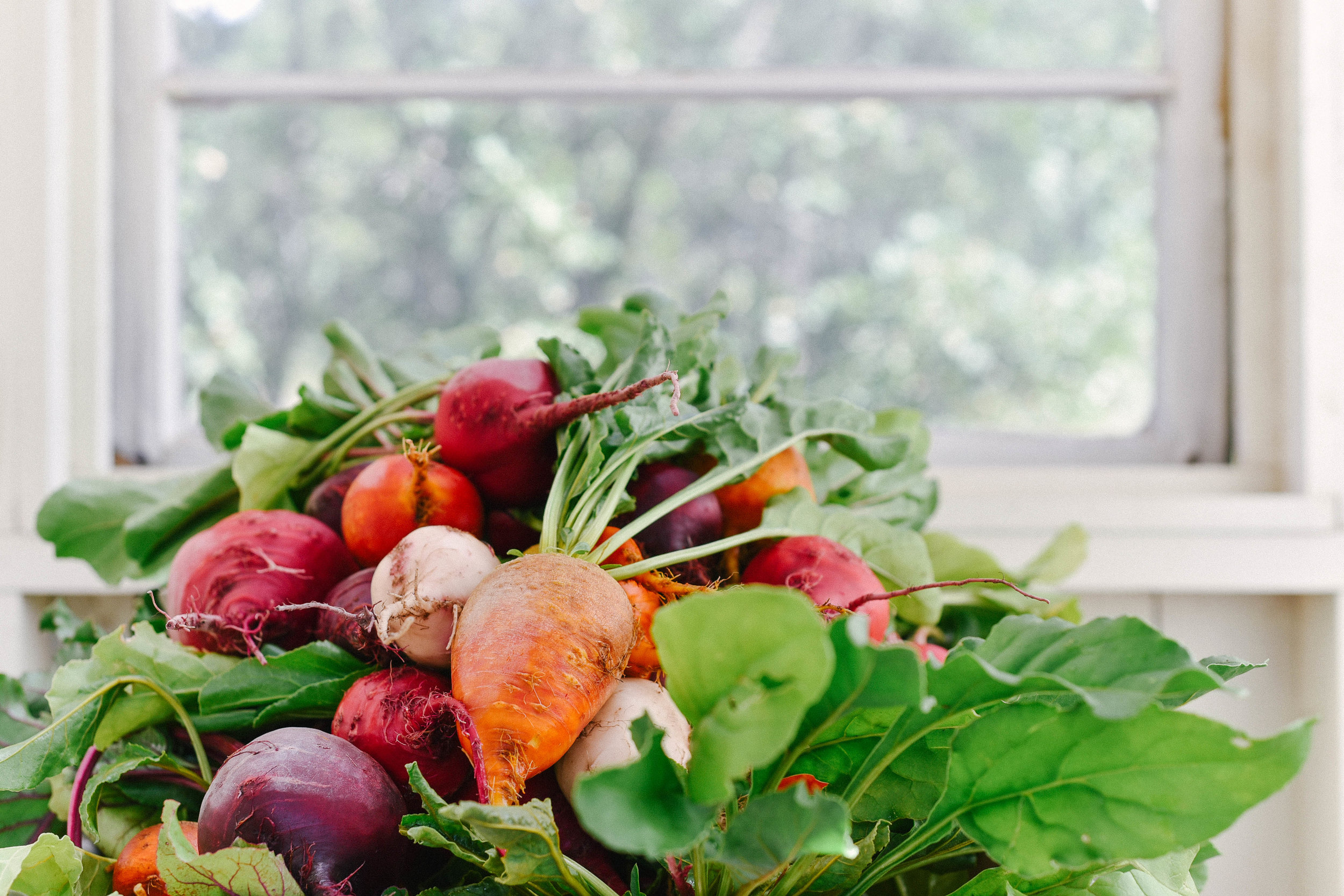 Beets Grown on the Ranch