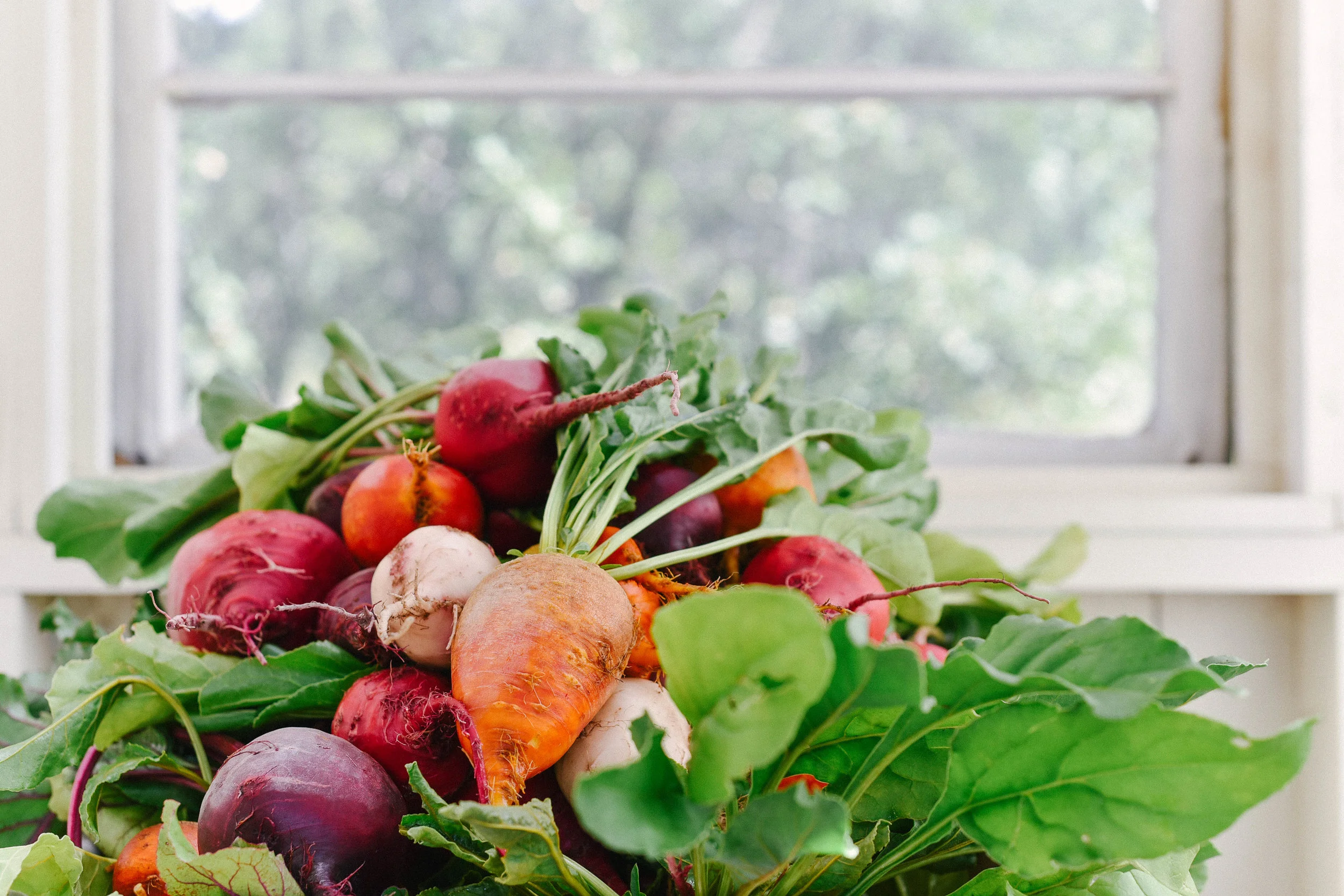 Beets in Washing Shed.jpg