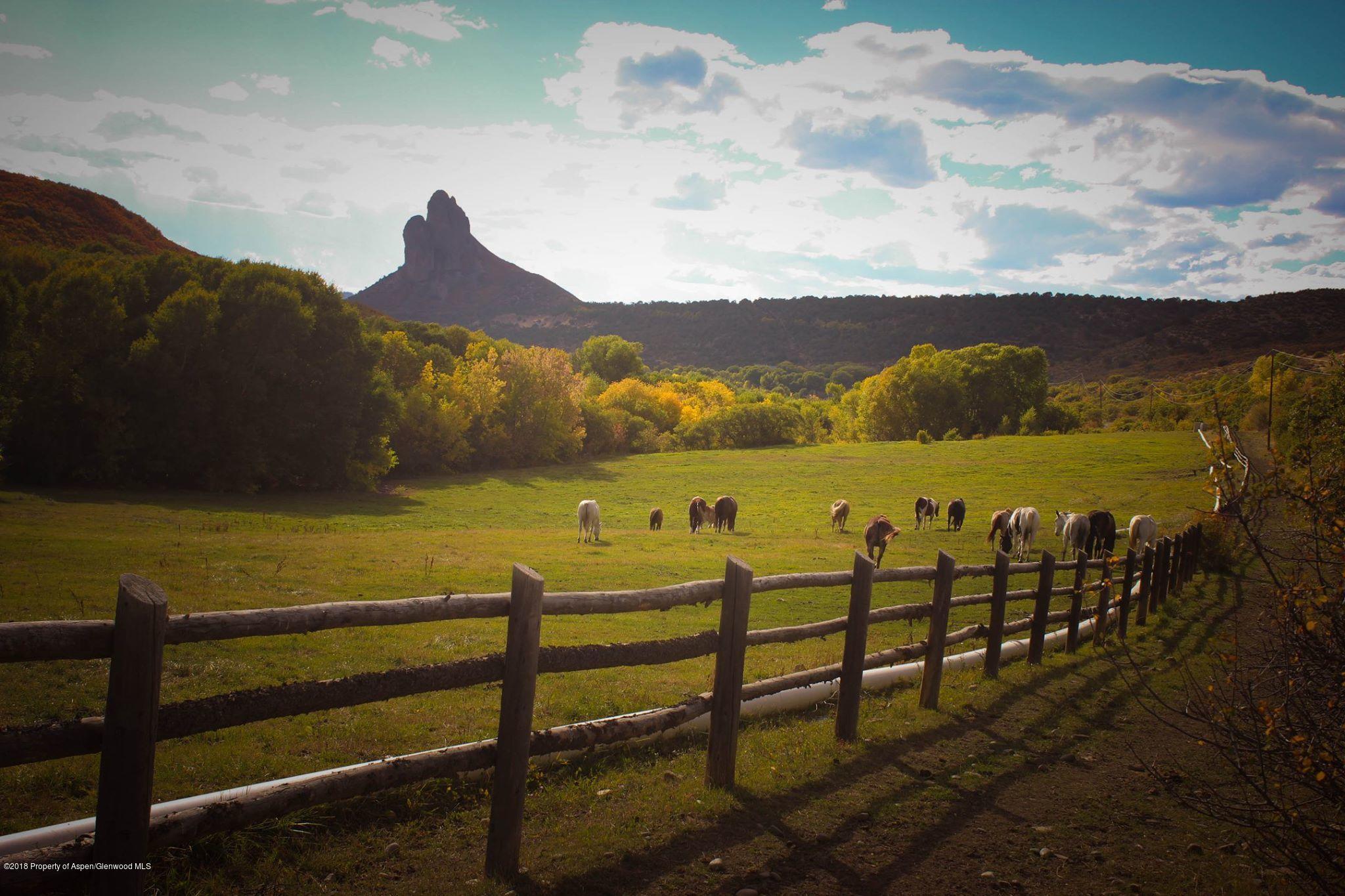 Horses in the Pasture at Fall