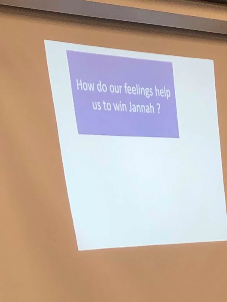 13.jpeg