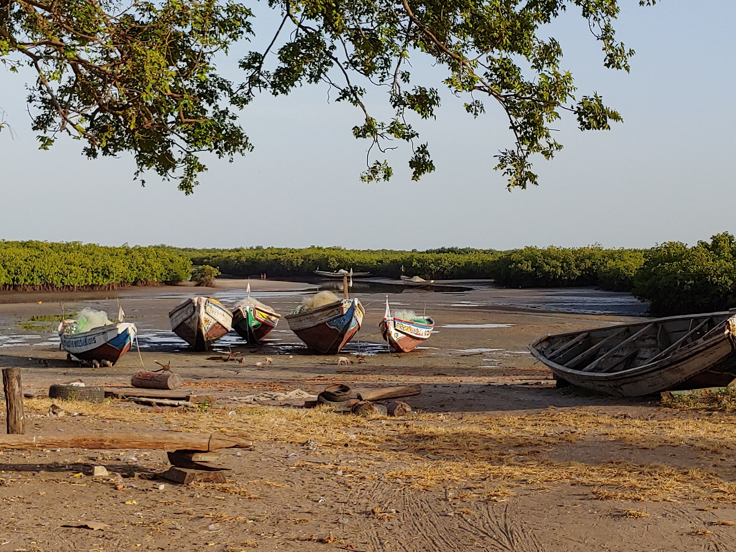 10 pirogue (larissa 2).jpg