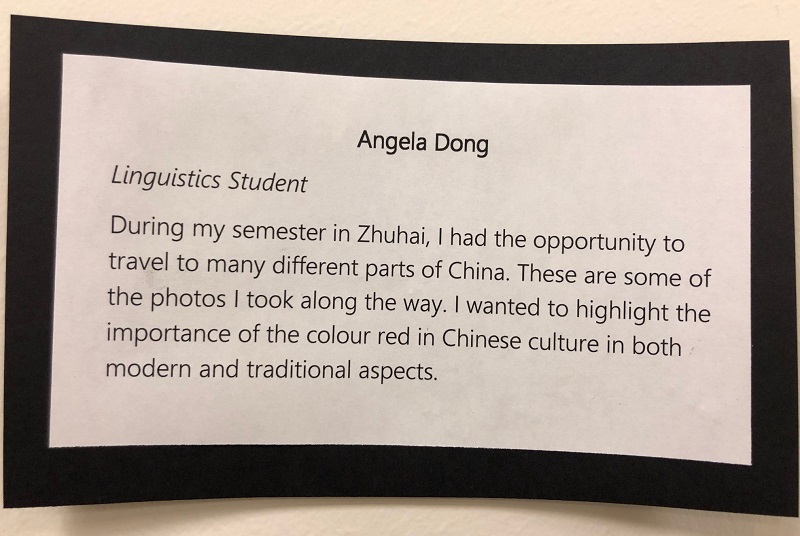 AngelaDong art description.jpg