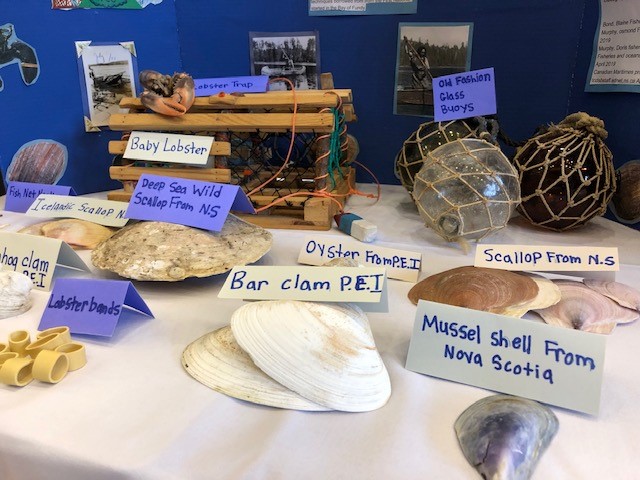 Seashells.jpg