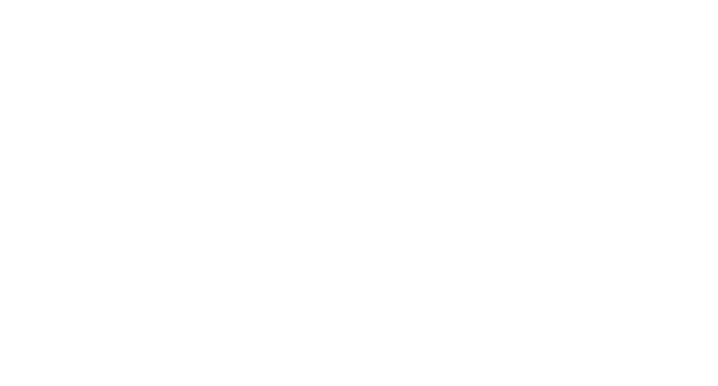 Scholars Guild Academy