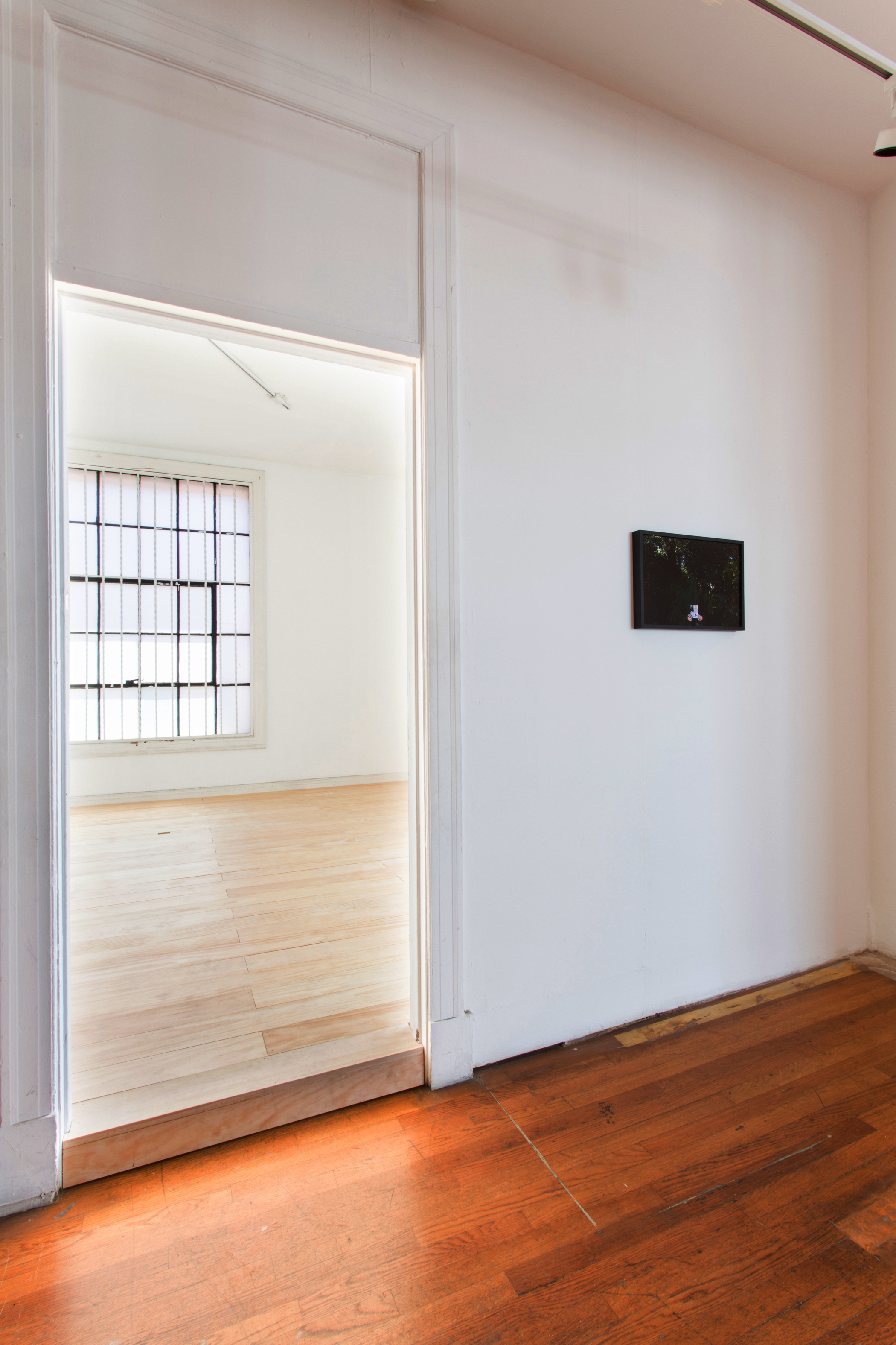 Still Beneath the Surface (installation view)