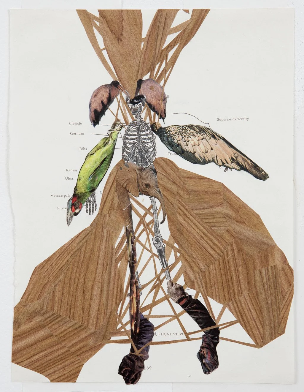 Wangechi Mutu