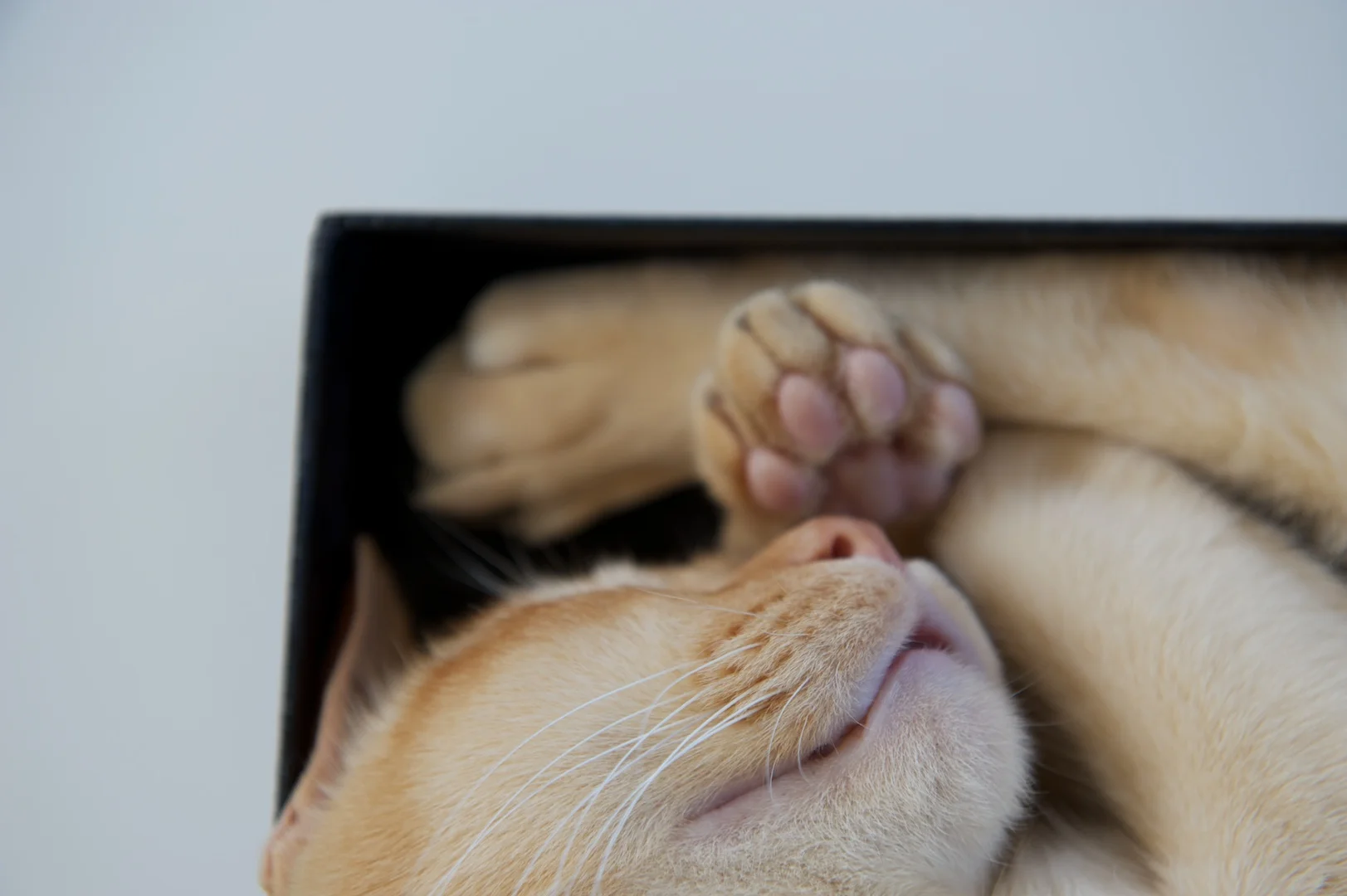 2010-02-15 at 11-39-51.jpg