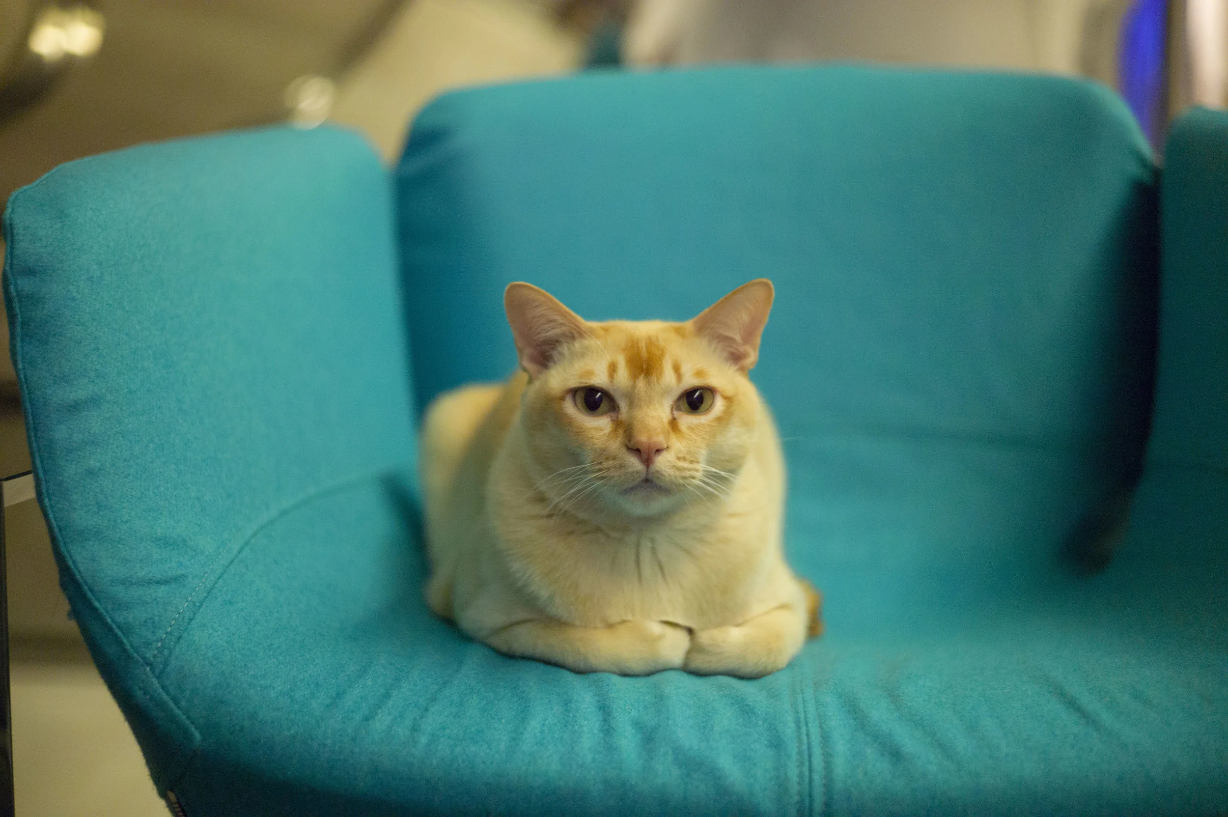 2012-12-06 at 23-37-41.jpg