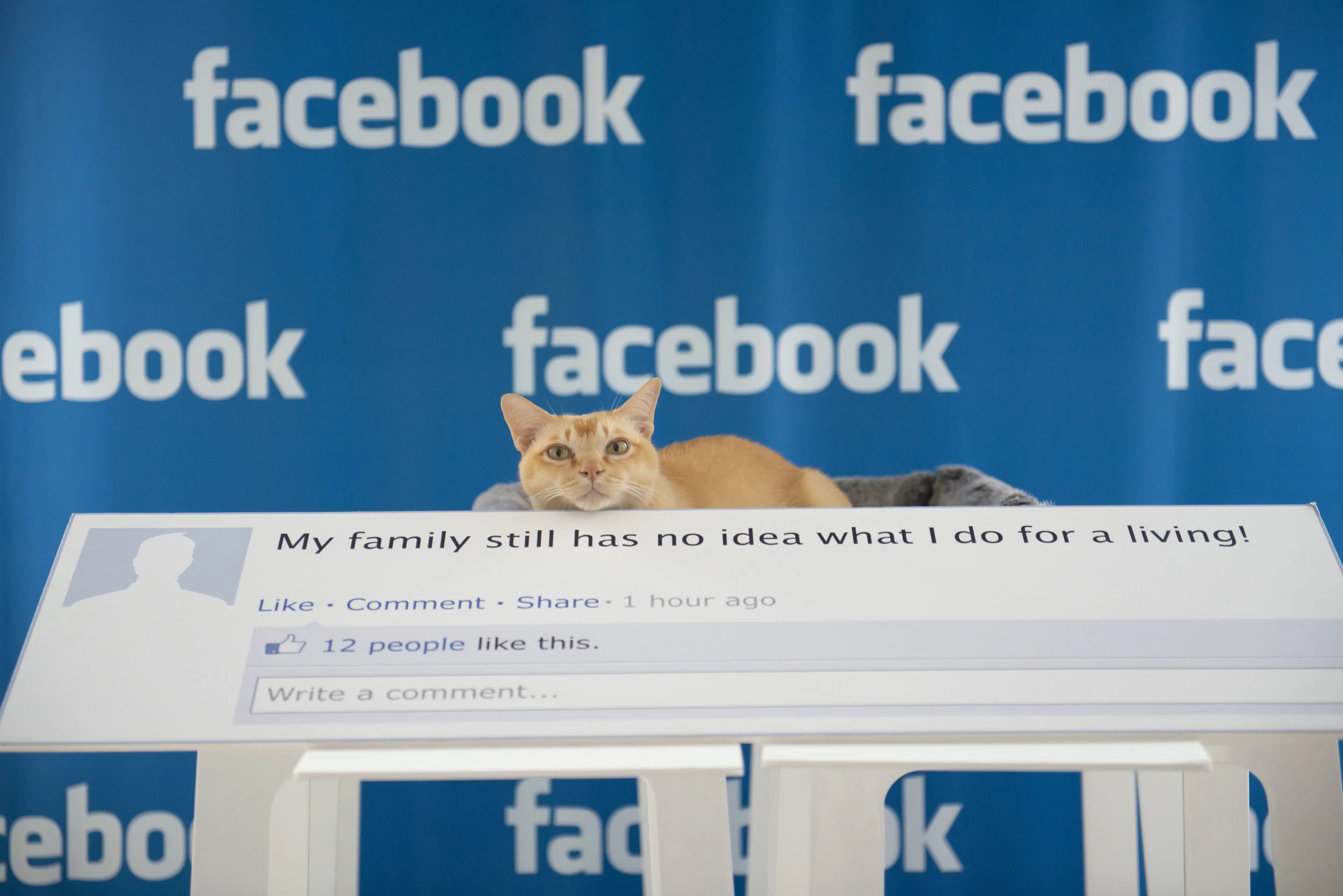 2012-10-05 at 10-09-58.jpg