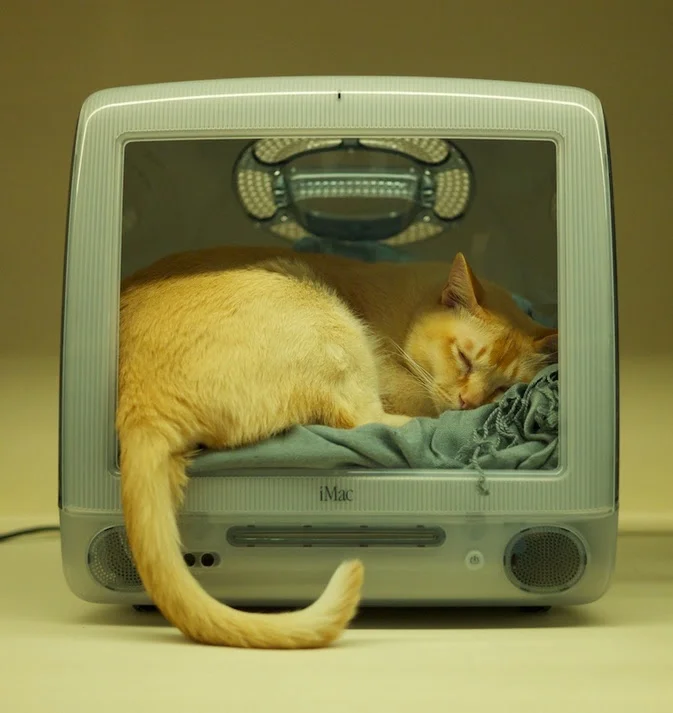 2012-12-09 at 16-28-47.jpg