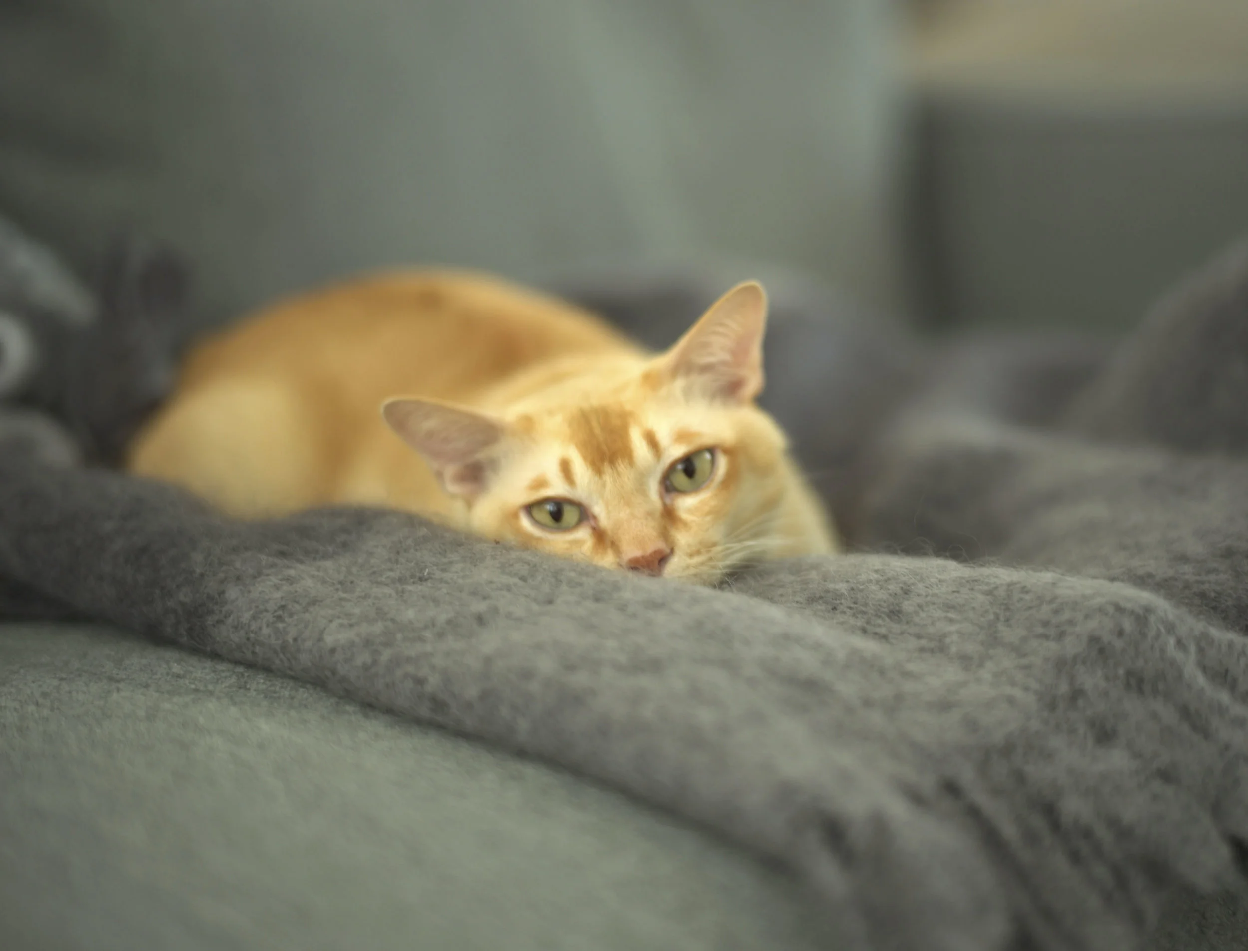 2014-07-26 at 19-18-56.jpg