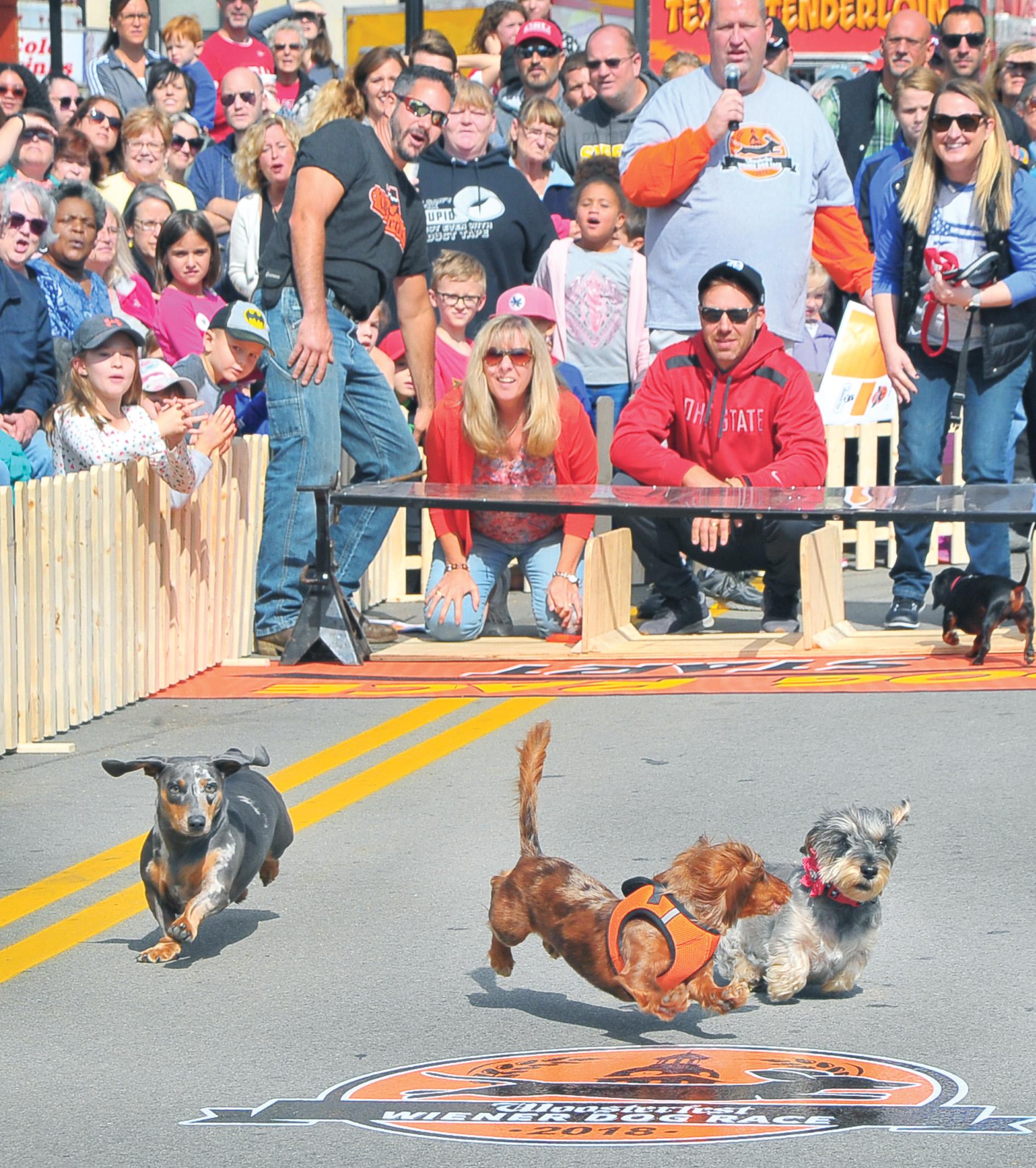 Wiener Dog Race — Woosterfest
