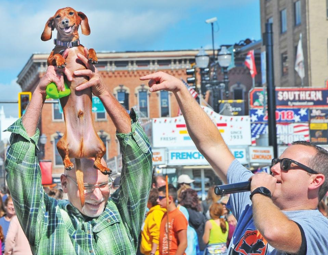 Woosterfest's_wiener_dog_race_a_bigger_hit_the_second_year_-_News_-_The_Daily_Record_-_Wooster,_OH_-_2019-07-22_13.54.36.png