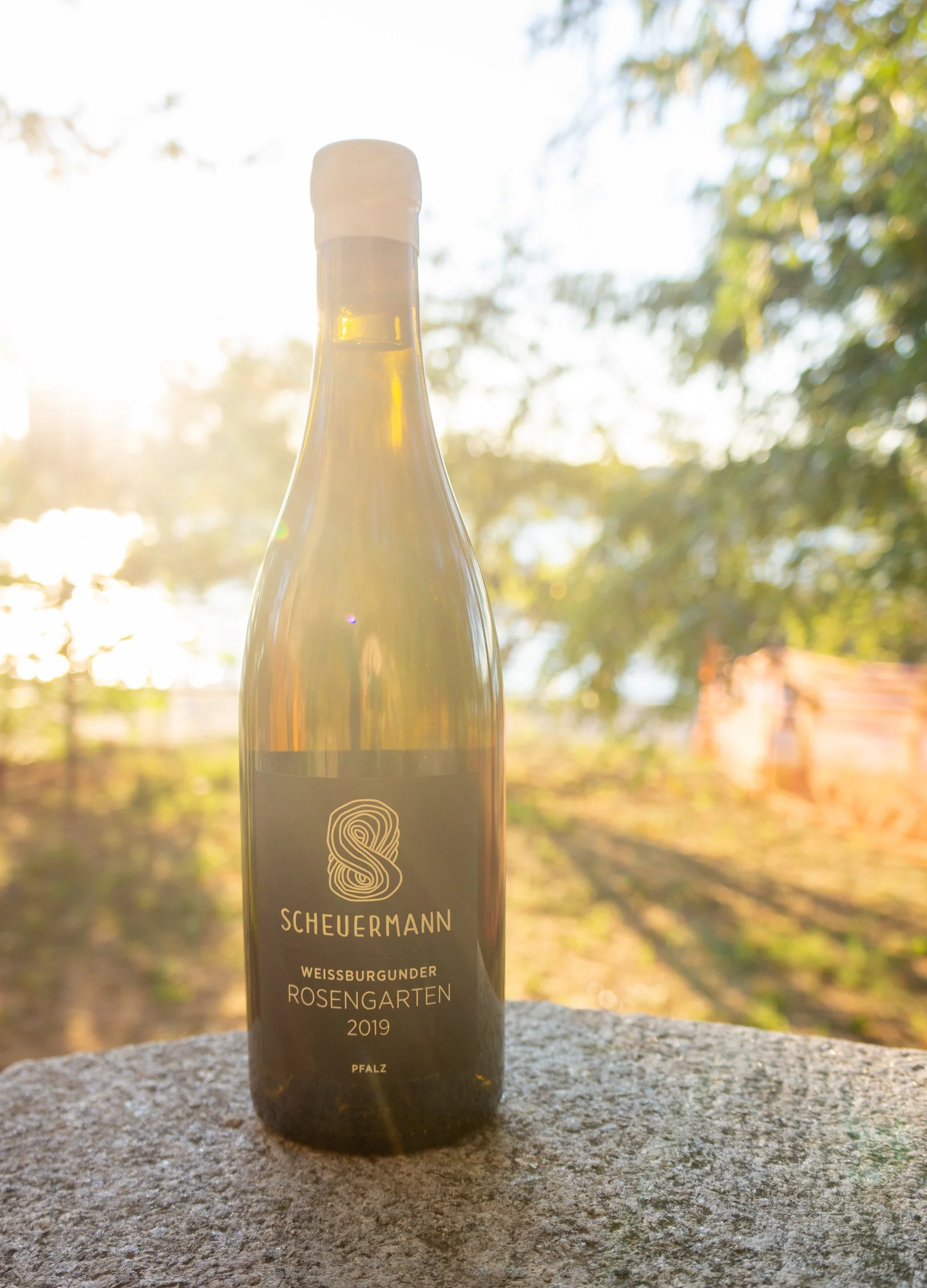 Scheuermann — Super Glou Importer & Distributor