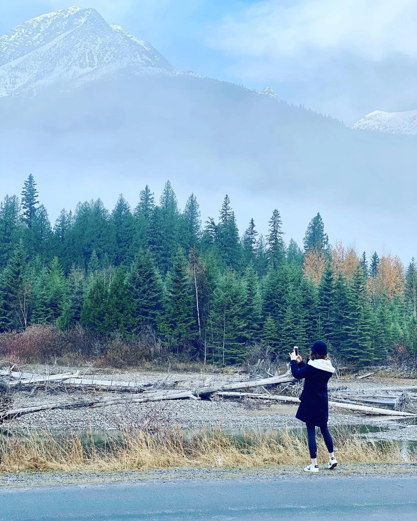 Election Day Situation 2020. A towering dose of sanity....